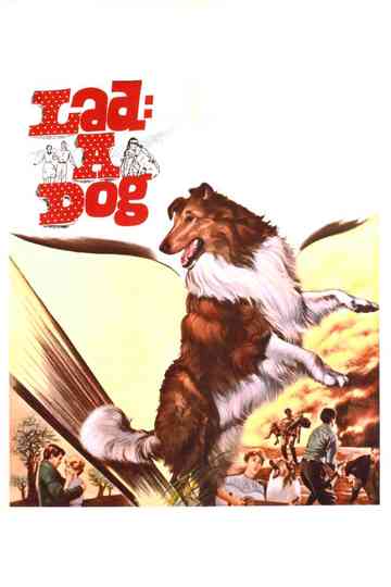 Lad: A Dog poster