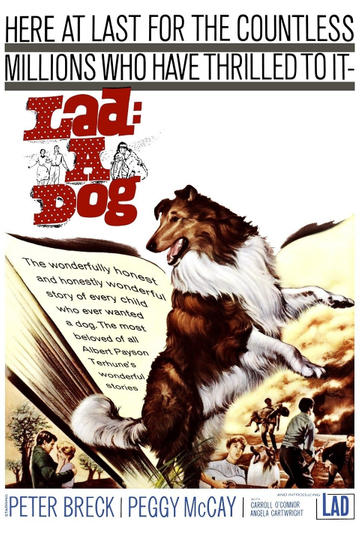 Lad A Dog Poster