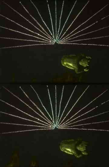 Fantaisies endiablées Poster