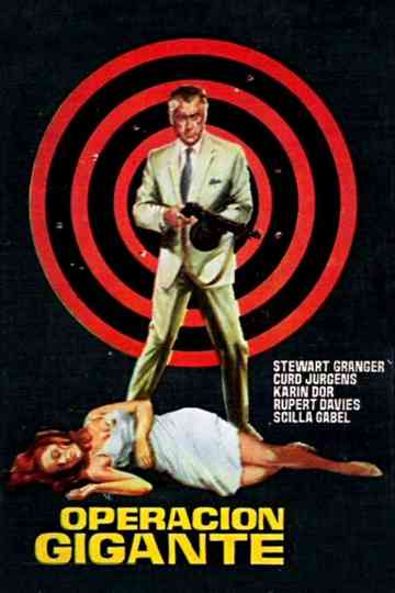Target for Killing Poster