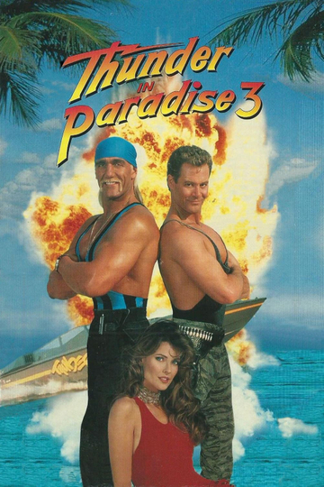 Thunder in Paradise 3 Poster