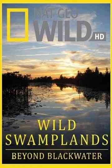 Wild Swamplands Poster