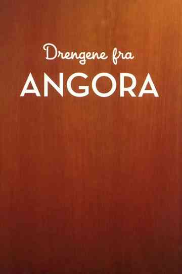 Drengene fra Angora Poster
