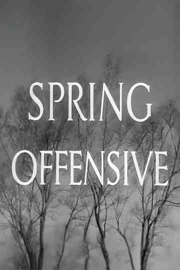 Spring Offensive Poster