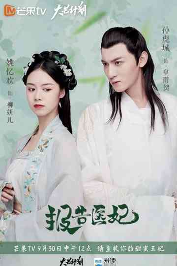 Doctor Princess Poster