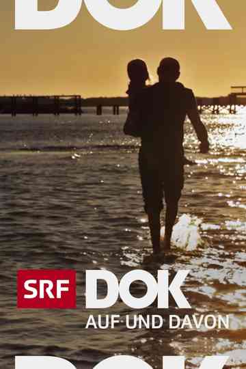 Bye bye Switzerland Poster