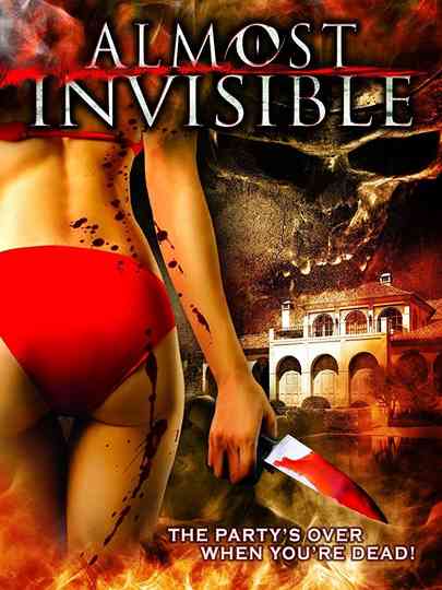 Almost Invisible Poster