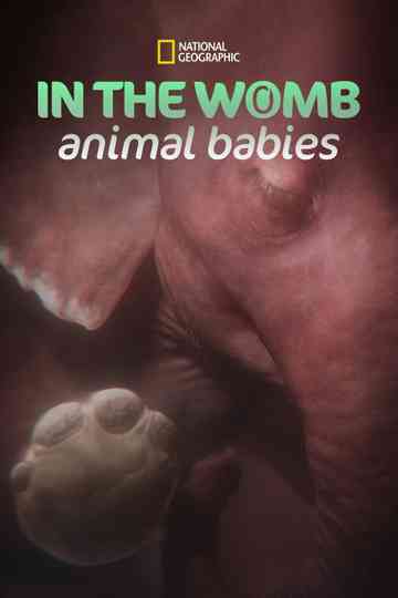 In the Womb: Animal Babies Poster