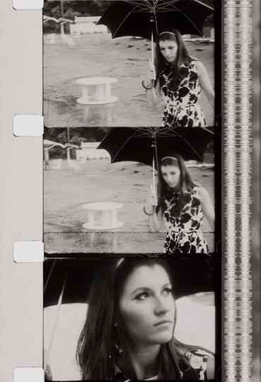 Pats Birthday Poster