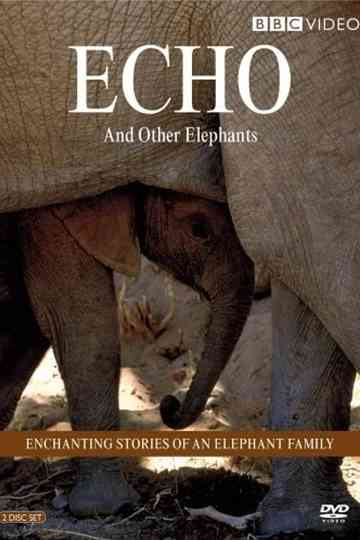 Echo and Other Elephants Poster