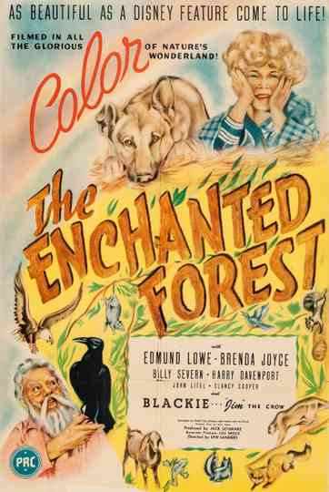 The Enchanted Forest Poster