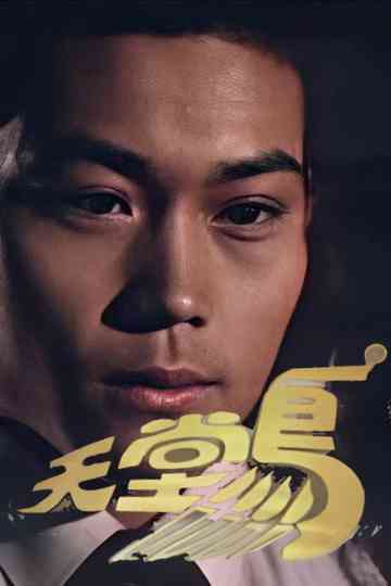 Bird of Paradise Poster