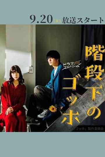 The Van Gogh Downstairs Poster