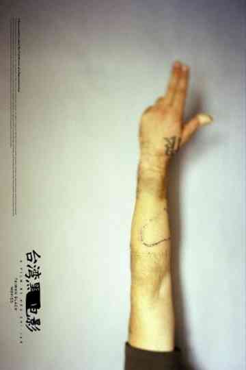 Taiwan Black Movies Poster