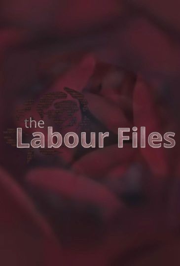The Labour Files