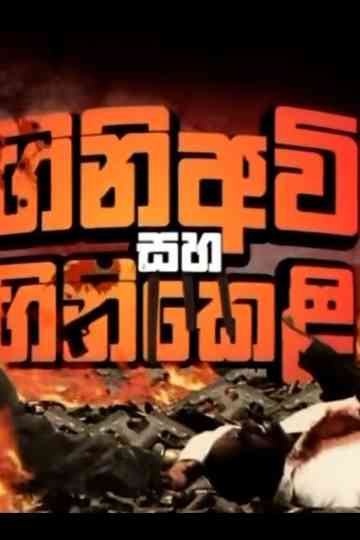 Firearms and Fireworks Poster