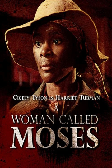 A Woman Called Moses Poster