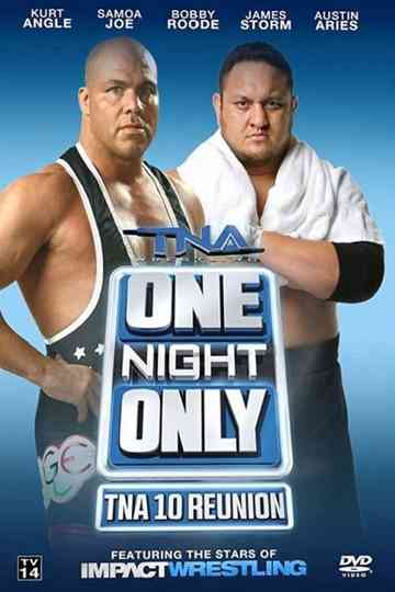 TNA One Night Only: 10 Reunion 2013 Poster