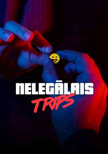 The Illegal Trip Poster