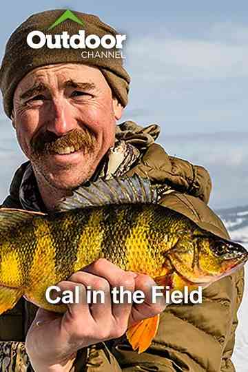 Cal in the Field Poster