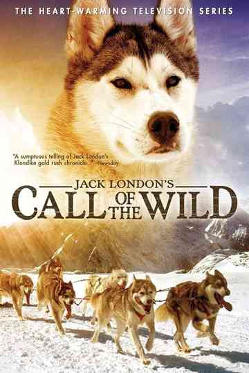 Call of the Wild poster