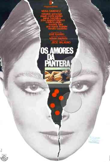 Os Amores da Pantera Poster
