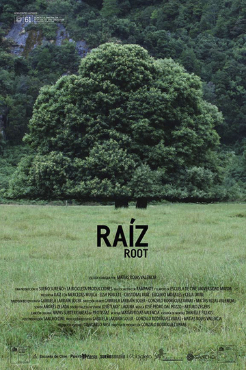 Root