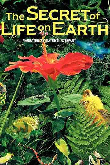 The Secret of Life on Earth Poster