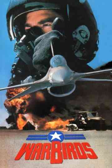 Warbirds Poster