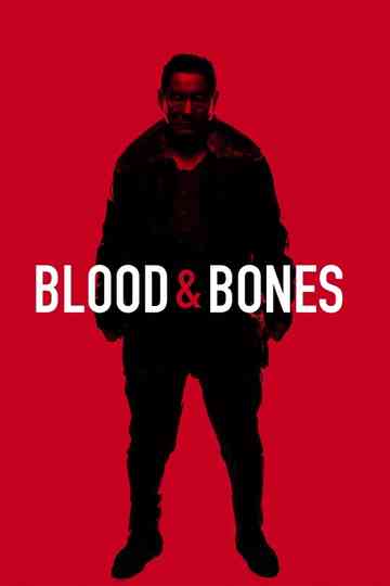 Blood and Bones poster