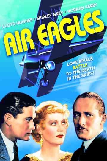 Air Eagles Poster