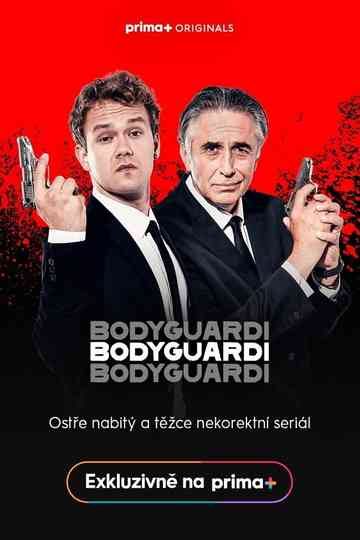 Bodyguardi Poster