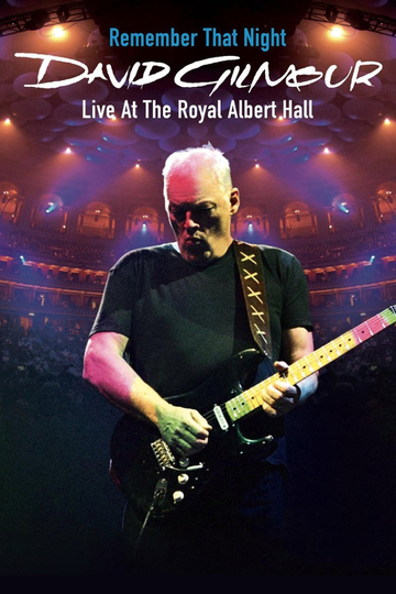 David Gilmour  Remember That Night Poster