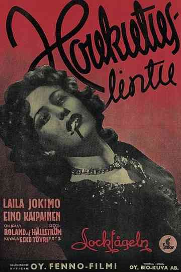 Houkutuslintu Poster