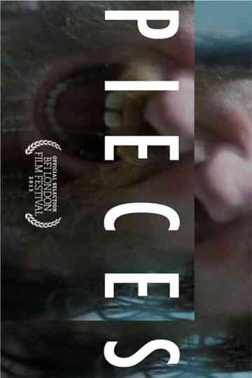 Pieces Poster