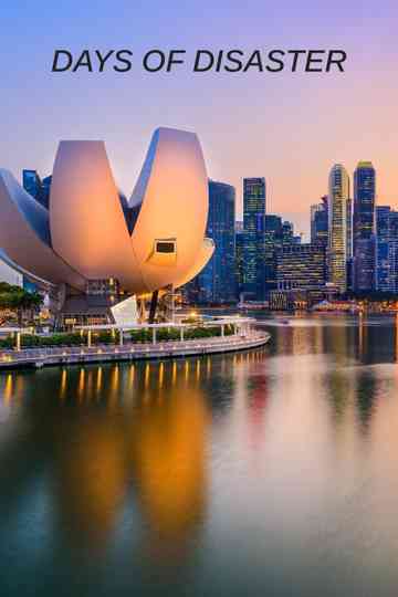 Days of Disaster Poster