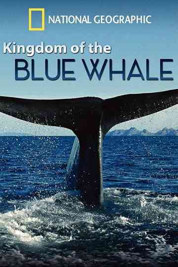 Kingdom of the Blue Whale Poster