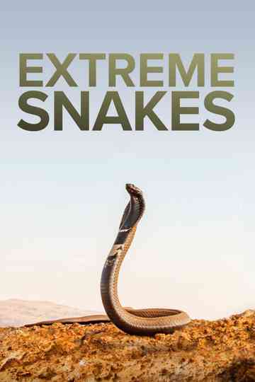 Extreme Snakes poster