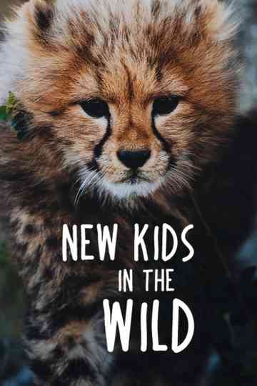 New Kids in the Wild Poster