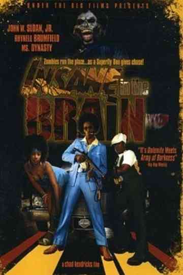 Insane in the Brain poster