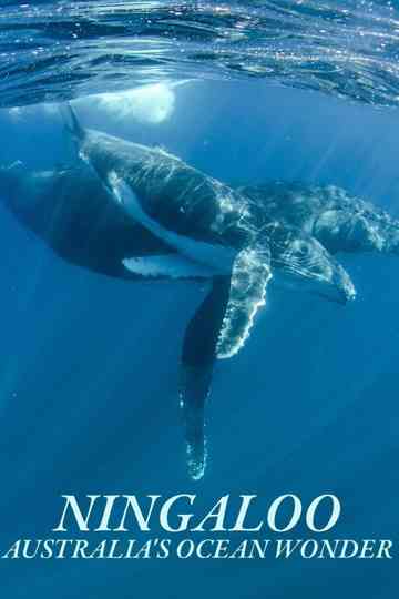 Ningaloo Nyinggulu Poster