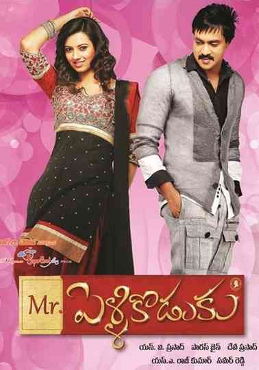 MrPelliKoduku Poster