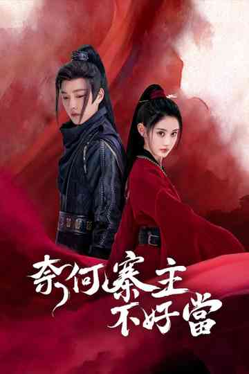 Yes, I Am a Spy Poster