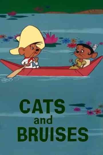 Cats and Bruises Poster