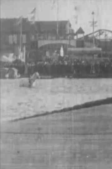 The Diving Horse Poster