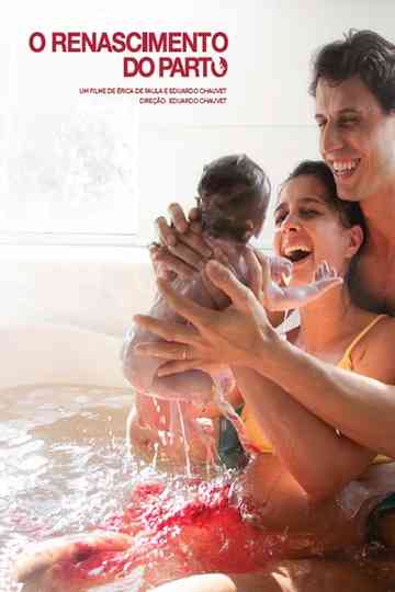 The Birth Reborn Poster