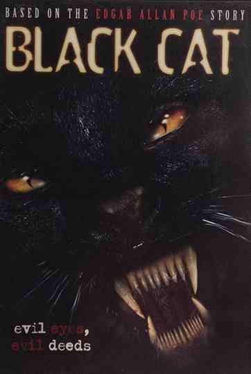 Black Cat Poster