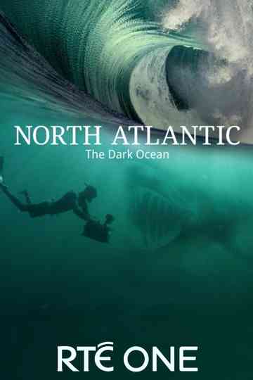 North Atlantic: The Dark Ocean poster
