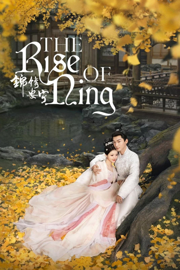 The Rise of Ning Poster