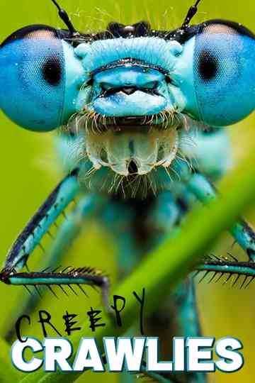 Creepy Crawlies